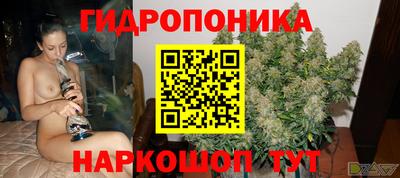 стафф Усть-Илимск