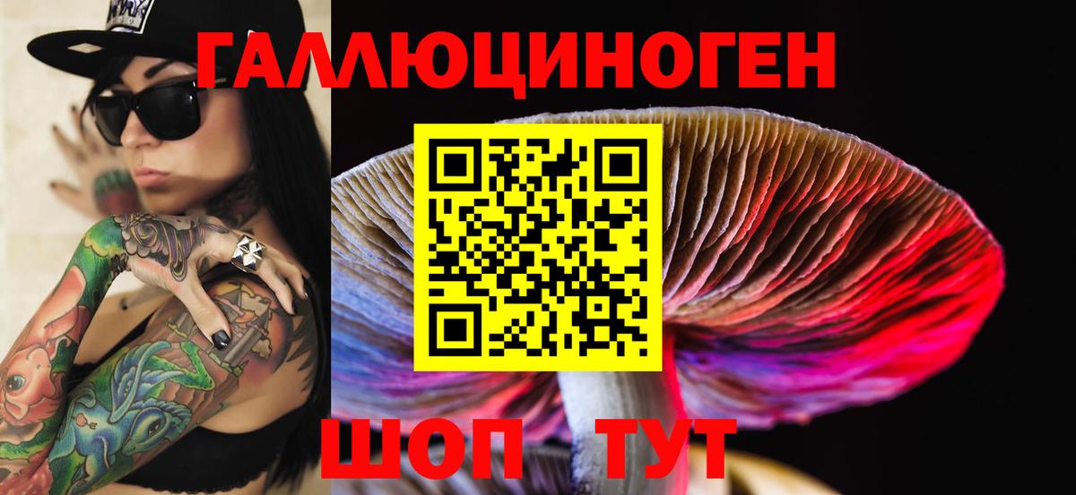 Туапсе  Псилоцибиновые грибы прущие грибы  Вход с VPN 